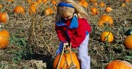 Family Go Round Pumpkin Picking