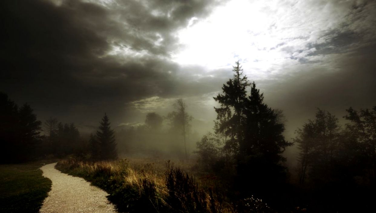 Path Woods Foggy Wallpapers HD Download Home HD Wallpapers amp Back Path Woods Foggy Wallpapers HD Download Home HD Wallpapers amp Back