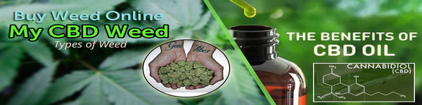 Buy CBD Oil Online with MYCBDweed 