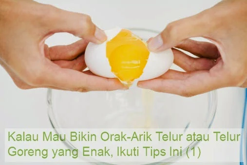 Orak Arik Telur, telur goreng
