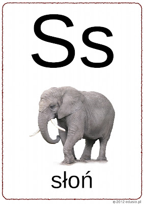alfabet obrazkowy do wydrukowania - litera s - słoń