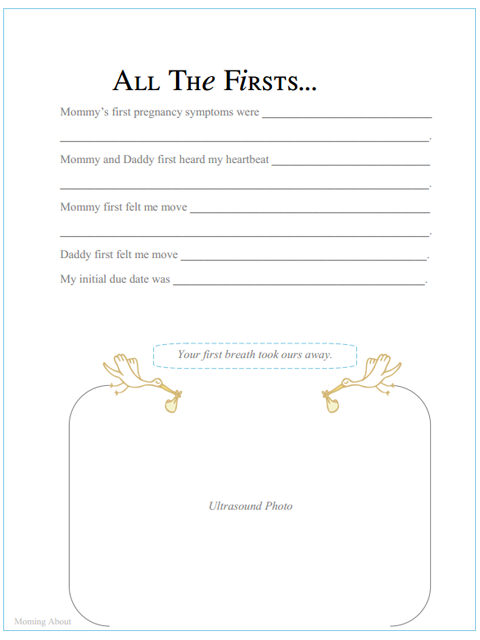 All The Firsts Baby Book Preview