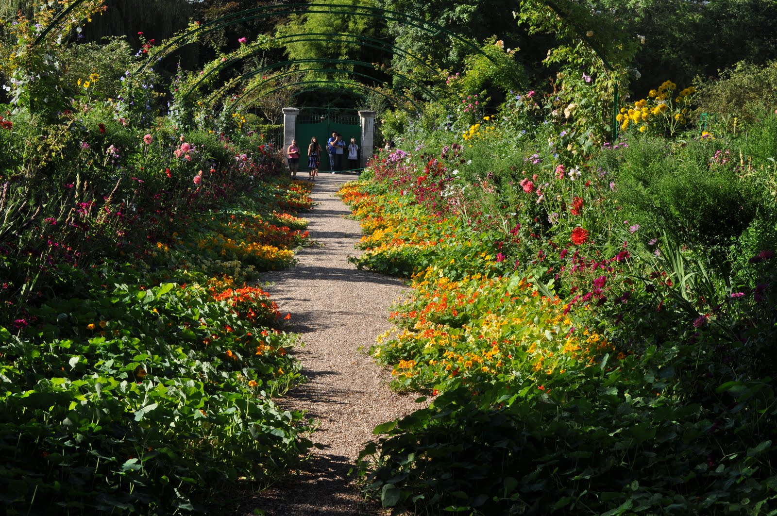 Von Rosen und Dornen Der in Giverny
