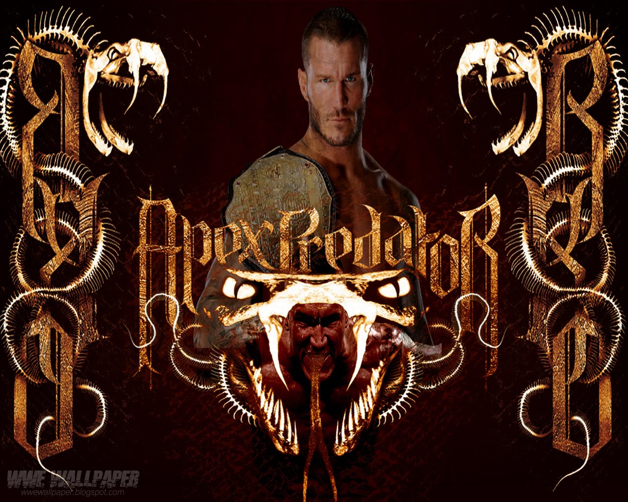 http://3.bp.blogspot.com/-qR36gAeBcng/TddBRTWYNFI/AAAAAAAAHcU/Inqzua7L1XI/s1600/Randy_Orton_1280x1024.jpg