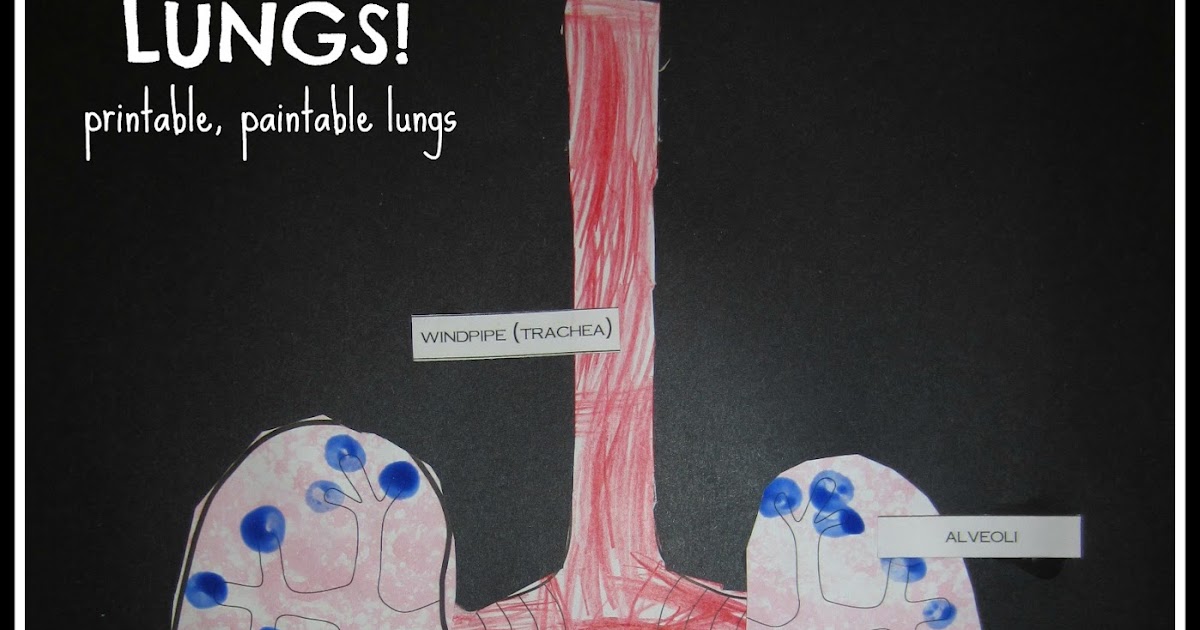 Relentlessly Fun, Deceptively Educational Spongestamped Lungs “Art”