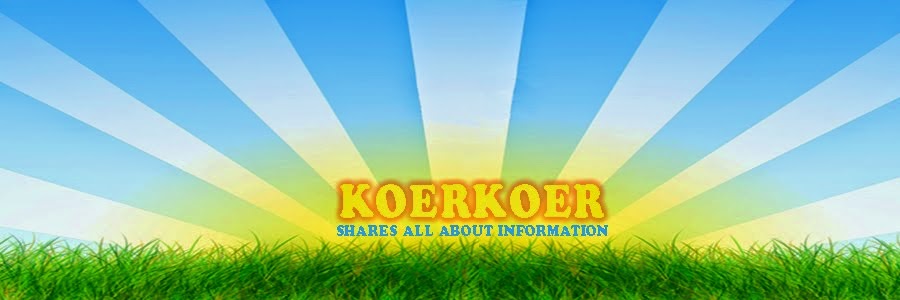 koerkoer.blogspot.com