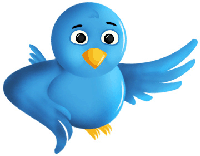 Jkm Si Blog Anak Desa Menambahkan Icon Burung Tebang Twitter Pada