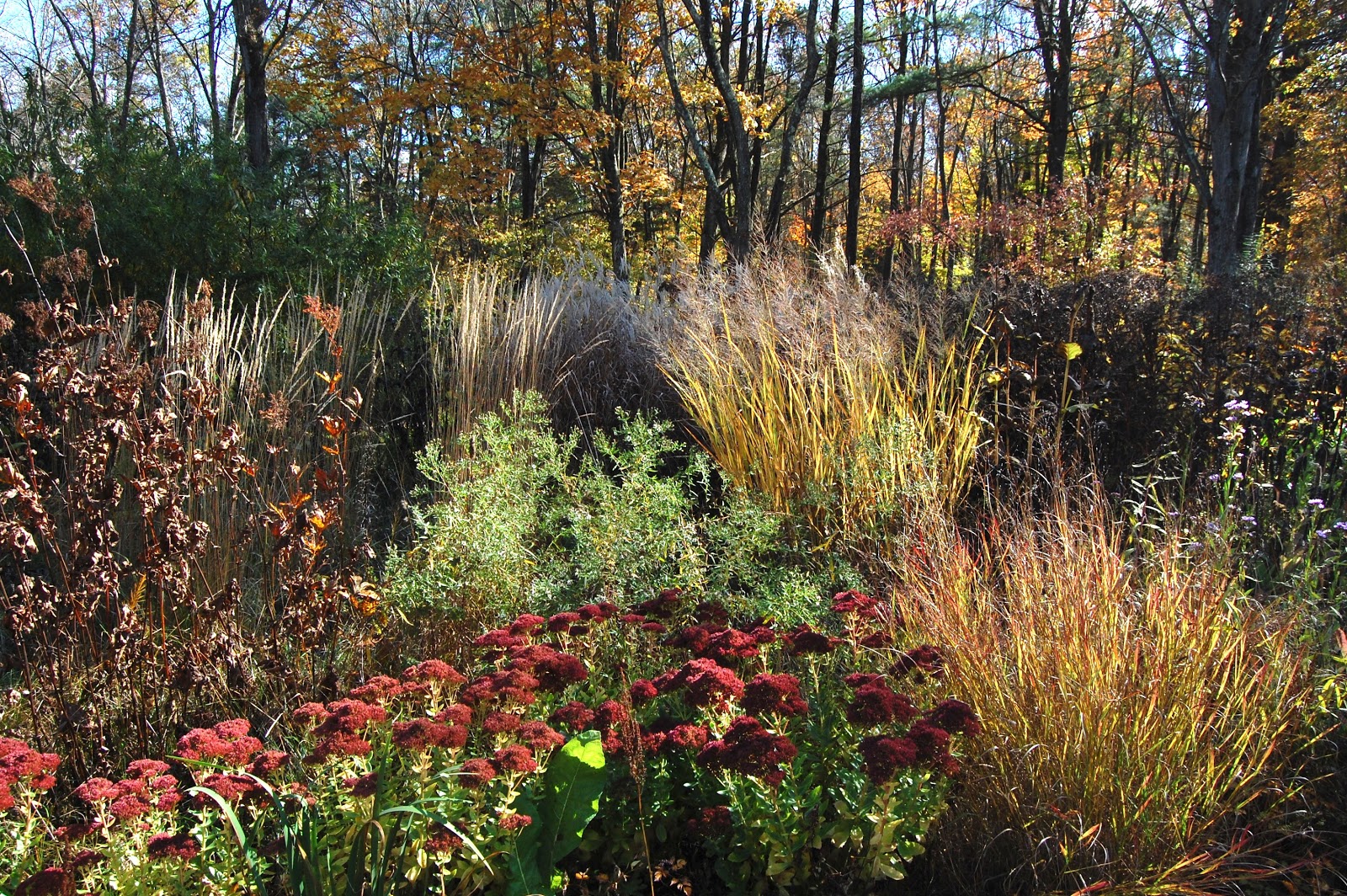 Noel's Garden Blog The view AT Federal Twist