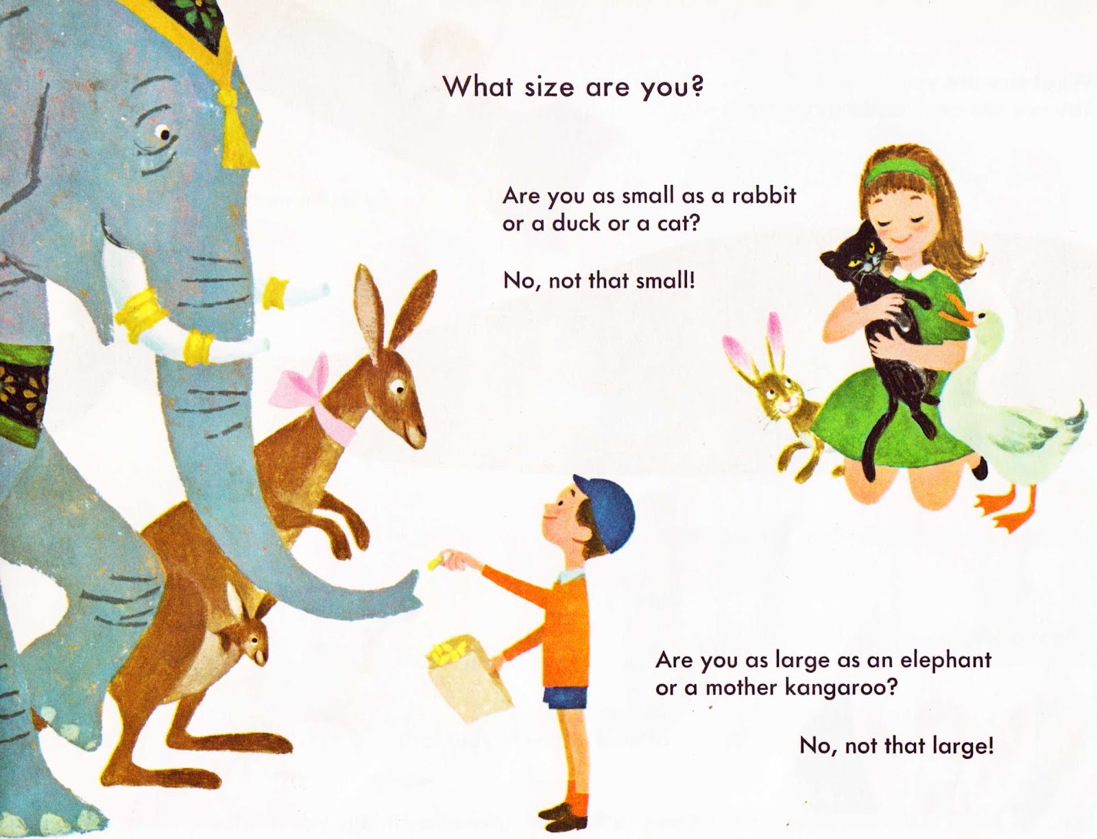 Children S Book Sizes Common at ameliacbrown blog