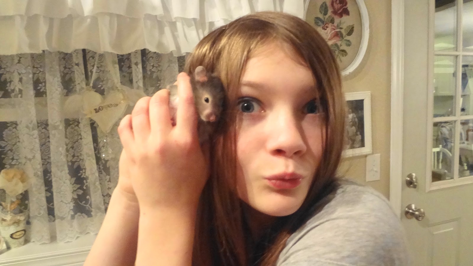 For the love of white: Hamster Love