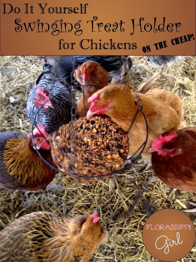Florassippi Girl DIY Swinging Treat Holder for Chickens (On the Cheap!)