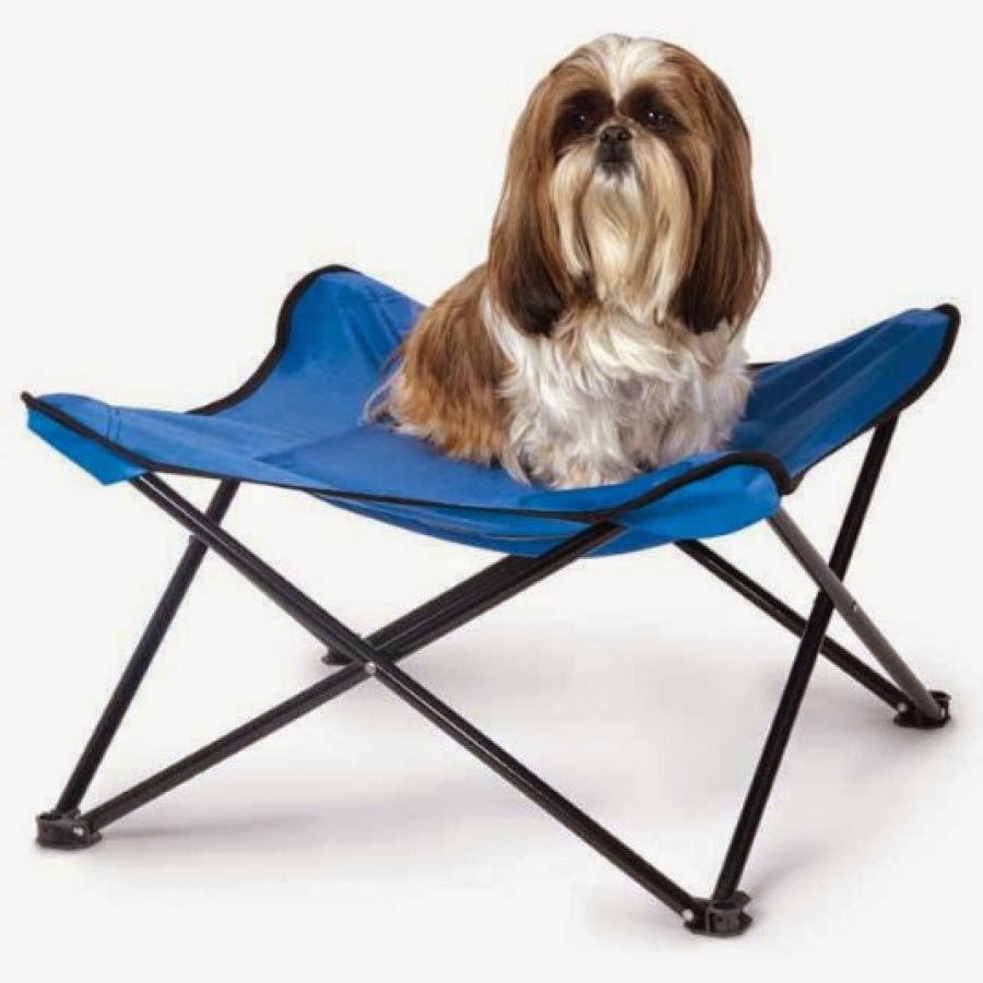 5 Things You Need To Before Rv Camping With Your Dog Newby Fun