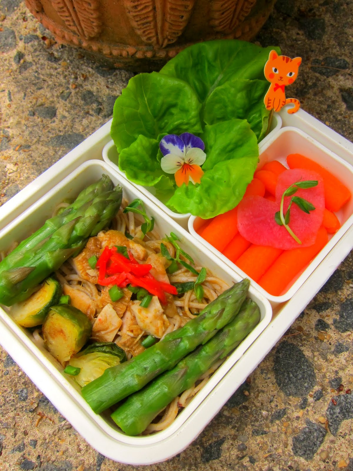 Bentobird japanese curry soba bento