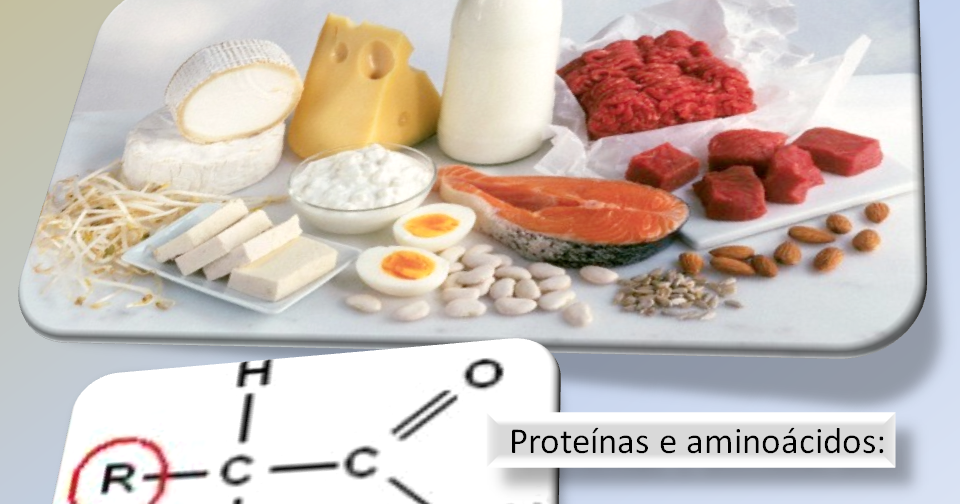 Resultado de imagem para aminoácidos na alimentação