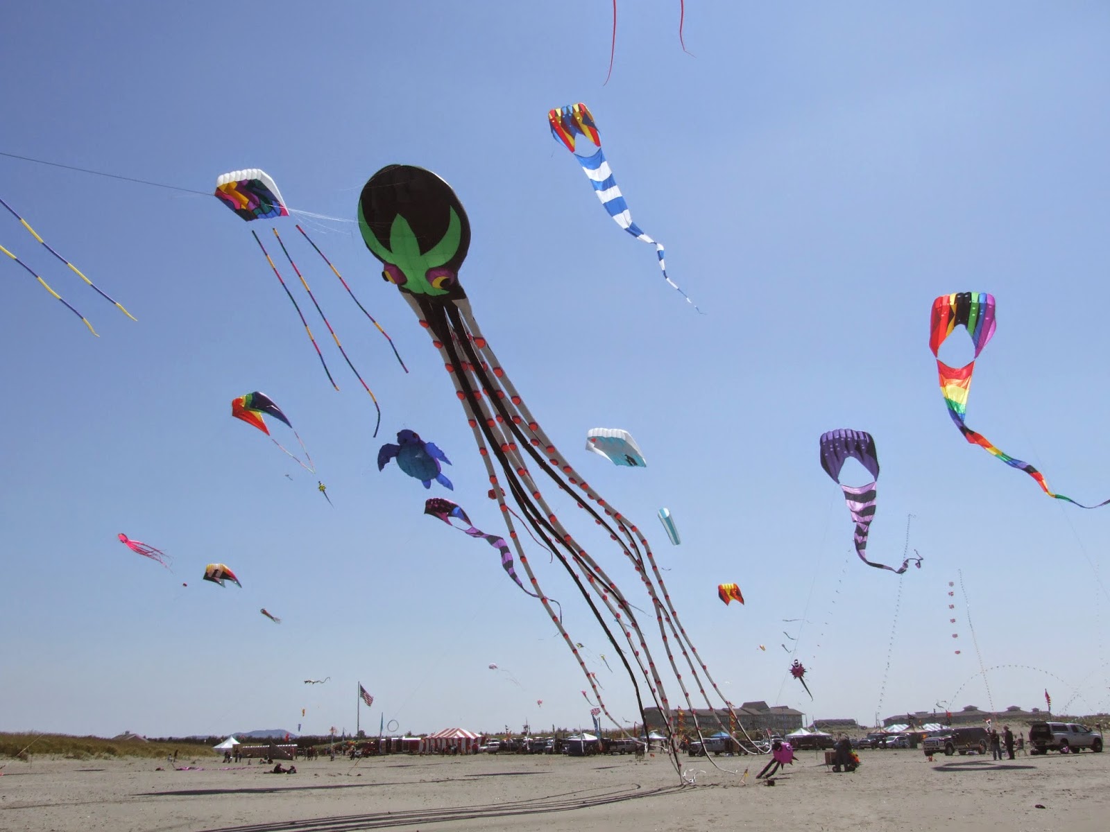 Tako Kichi (Kite Crazy) Is a Kite Festival on YOUR bucketlist?