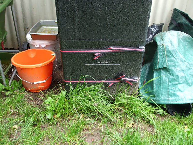 The Compost Bin Hot Bin trial after 4 weeks first sight behind the