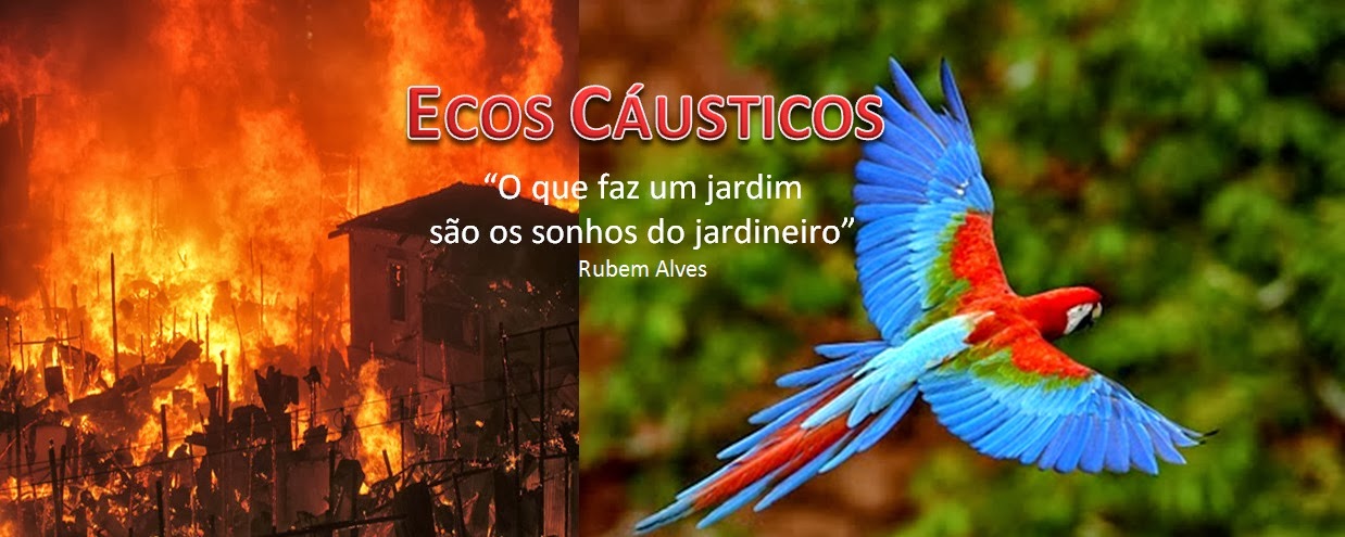 Ecos Cáusticos 