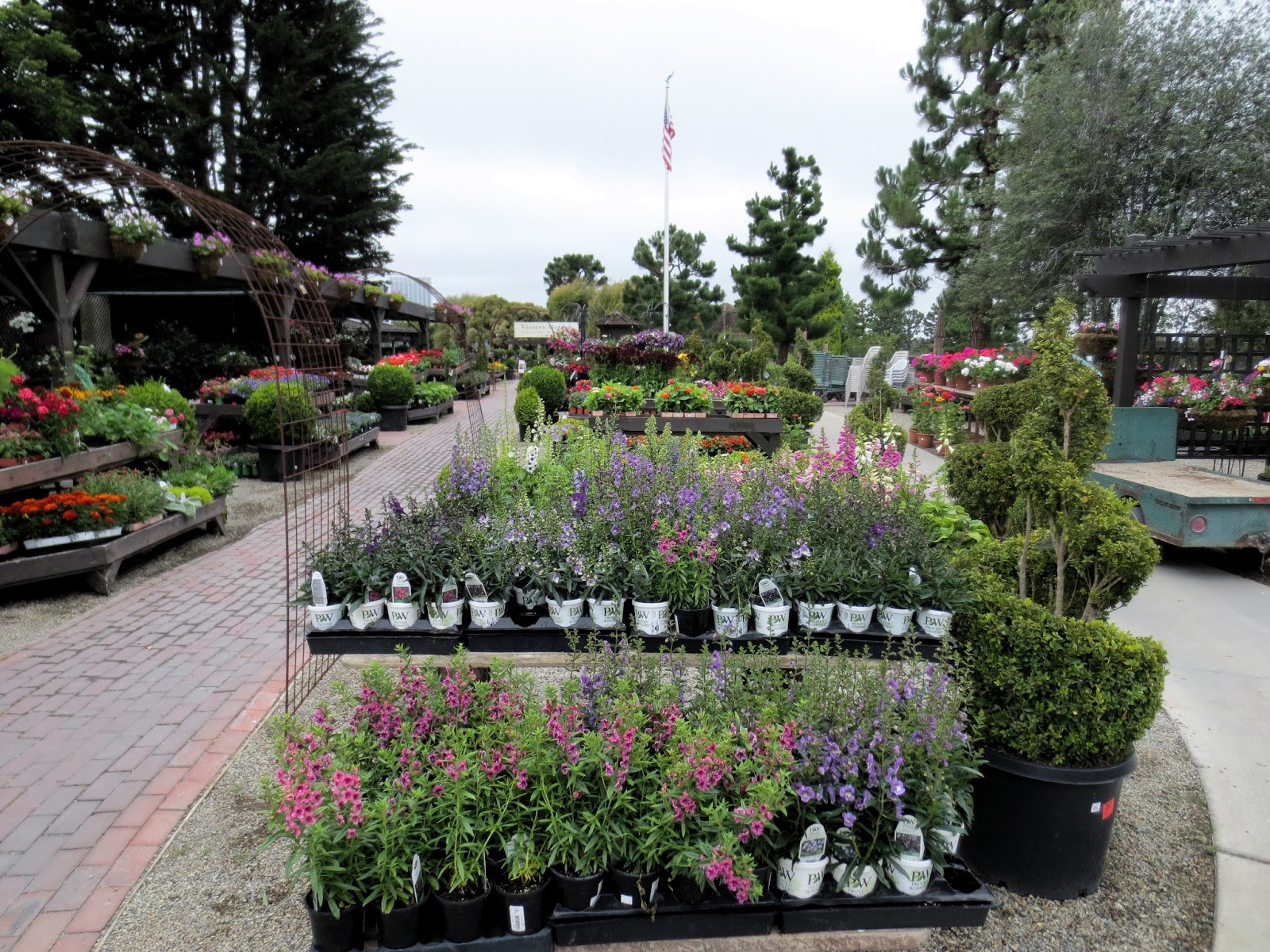 Late to the Garden Party: June 2013