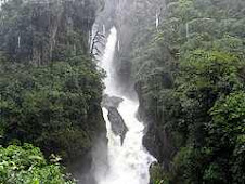 Paion Del Diablo, Ecuador