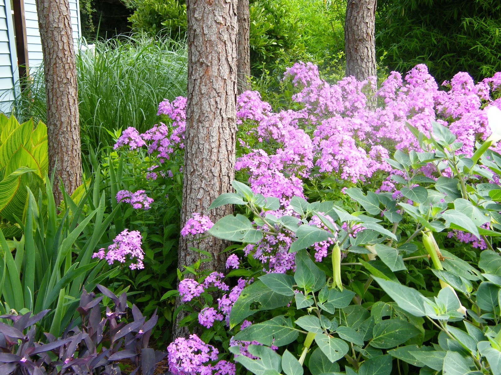 P O T A G E R Meadowbrook Acres Garden Tour