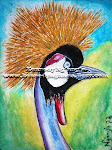 Crowned Crane