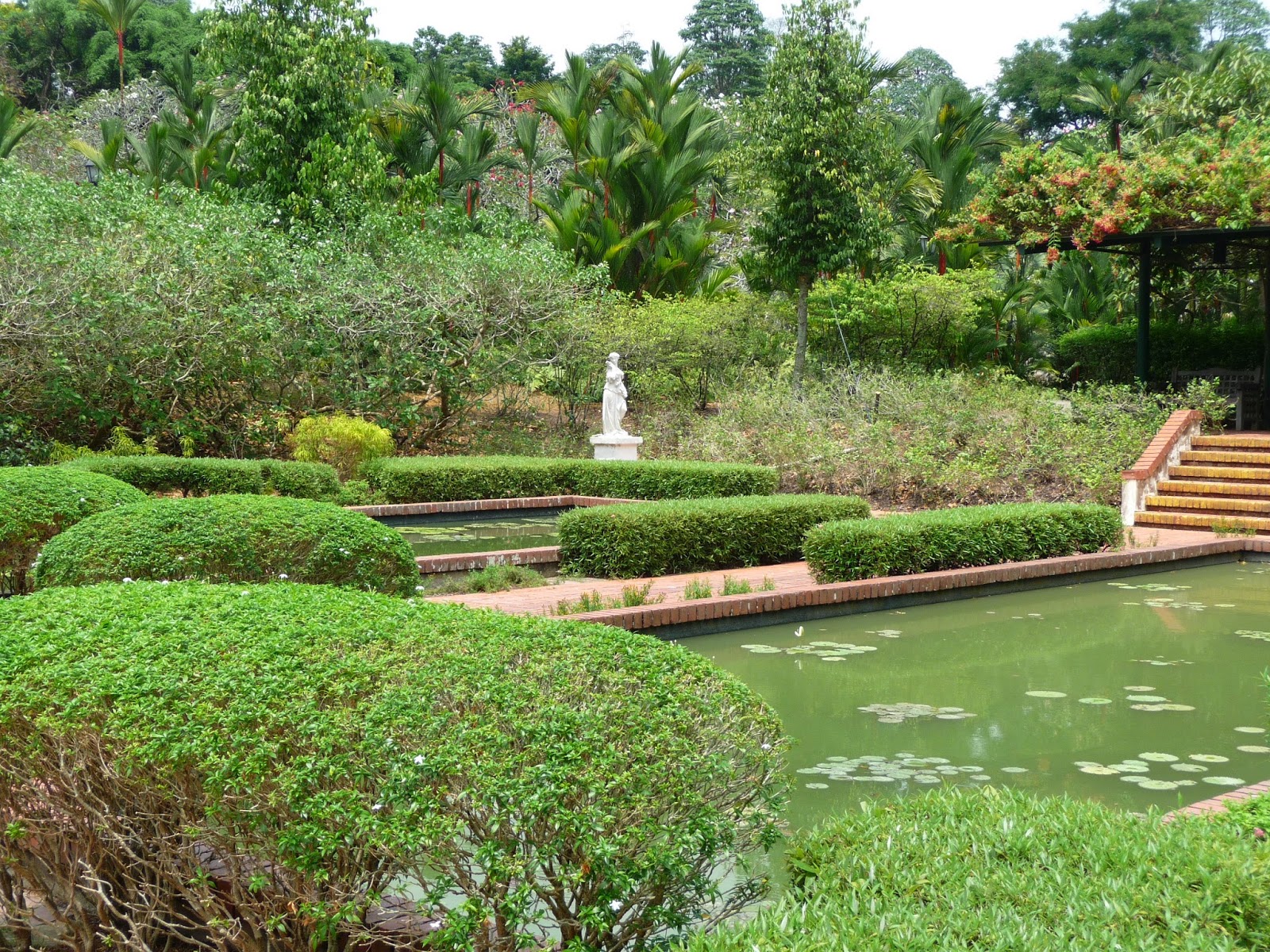 Leben als Waiguoren* Singapur Botanischer Garten