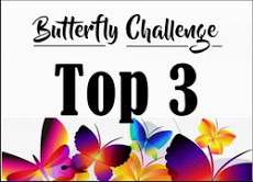 Top 3 at Mrs A.'s Butterfly Challenge