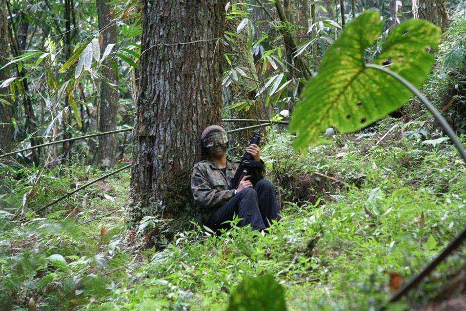 Foto Hutan