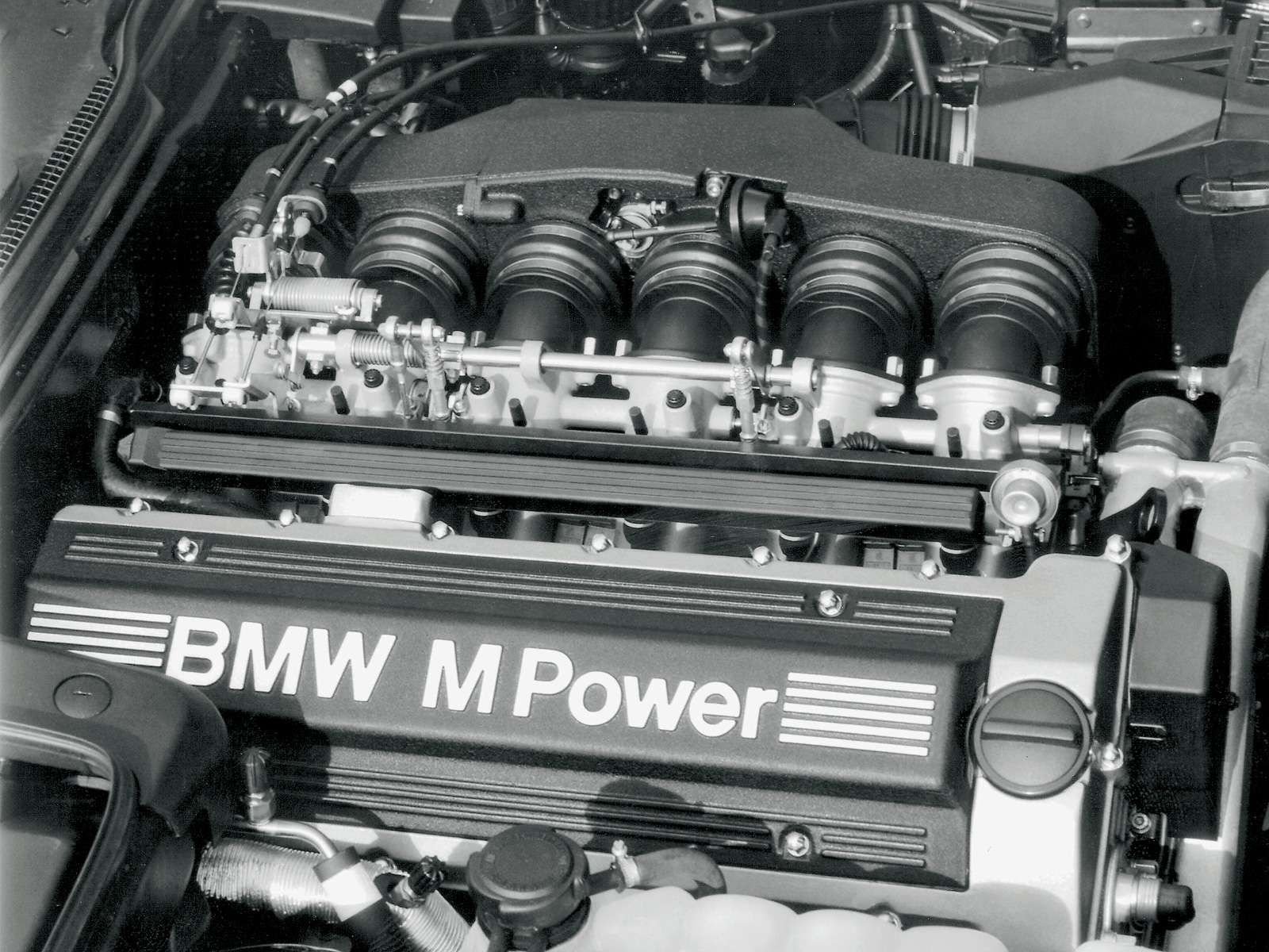 Automotive Database: BMW M5 (E34)