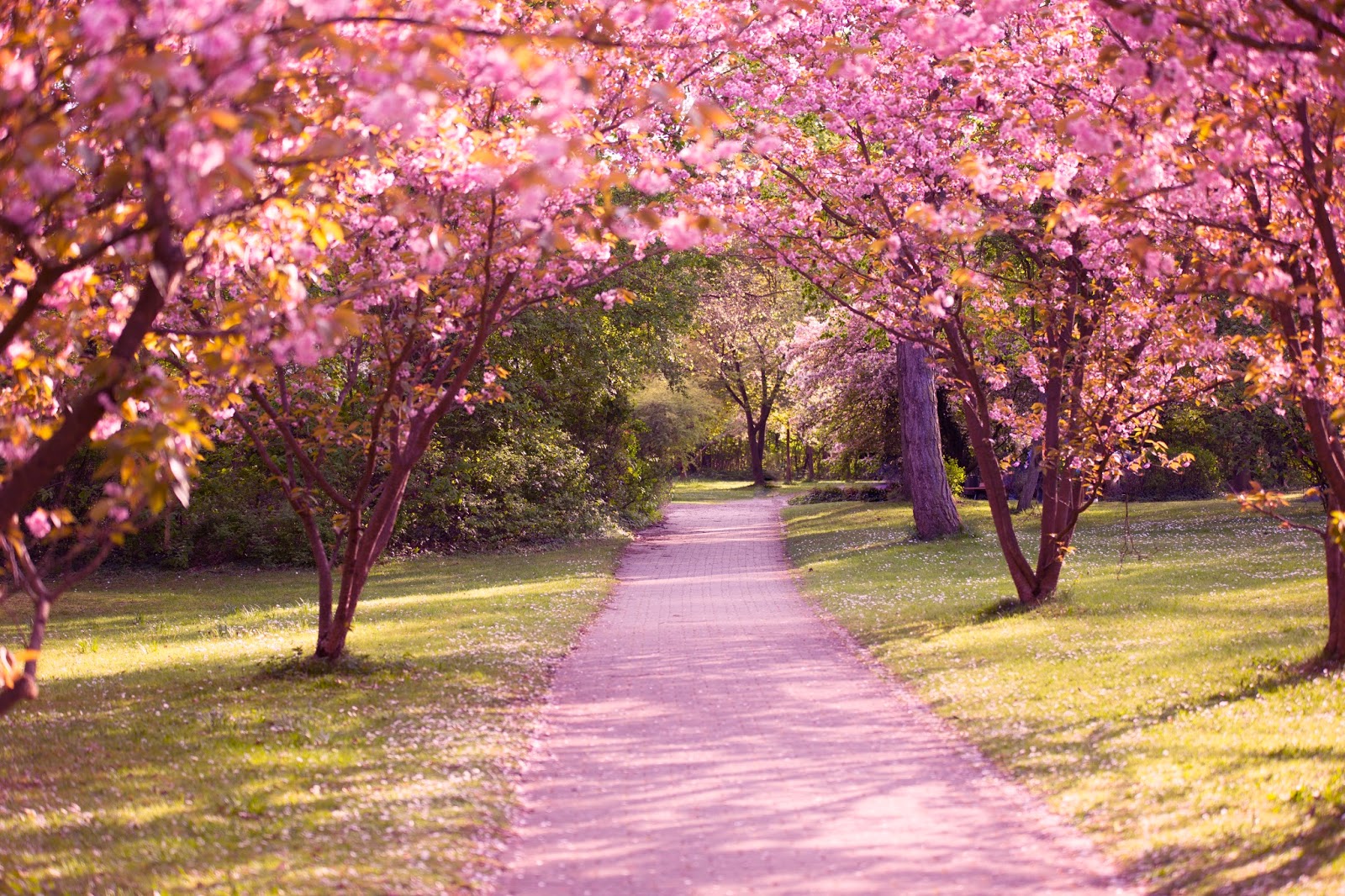 Helmuts Herz Gefuhle Verstehen Fur Kinder Erdbeerchens Testwelt