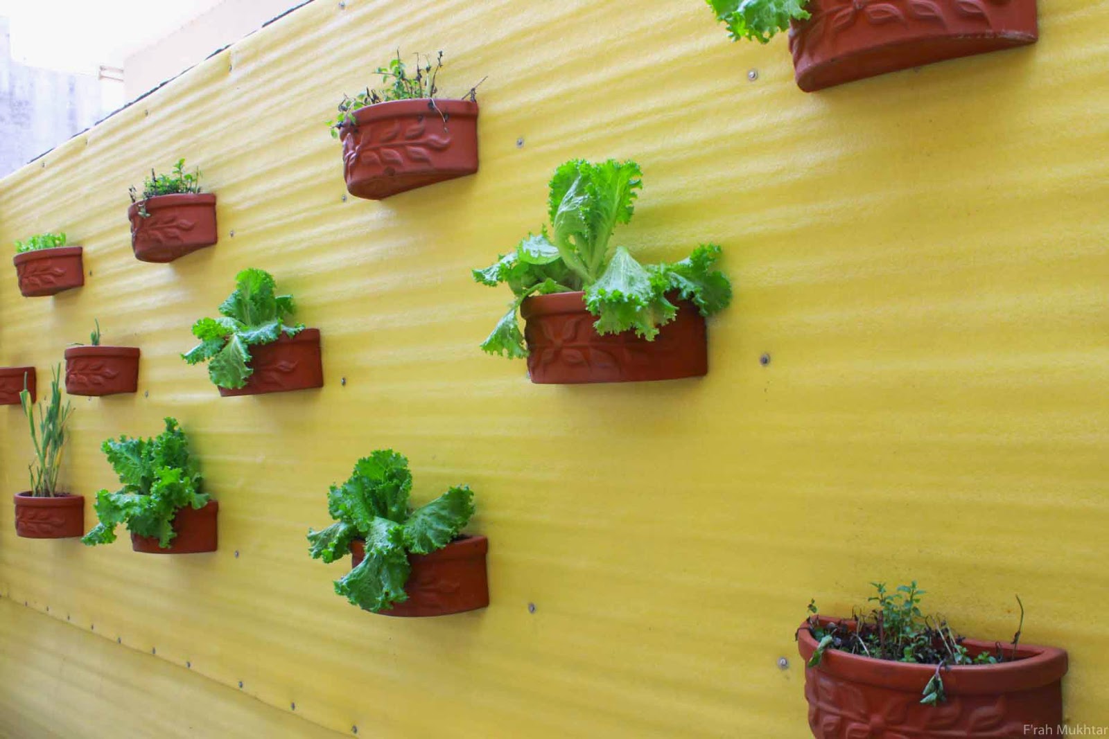 Projections Initiating Vertical Farming Vertical Landscaping