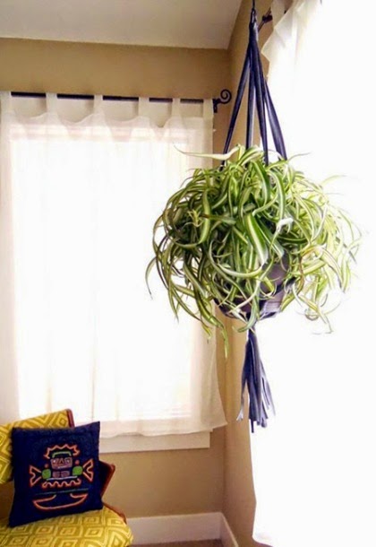 [Image: binh-cay3.jpg]