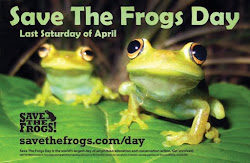 Save The Frogs