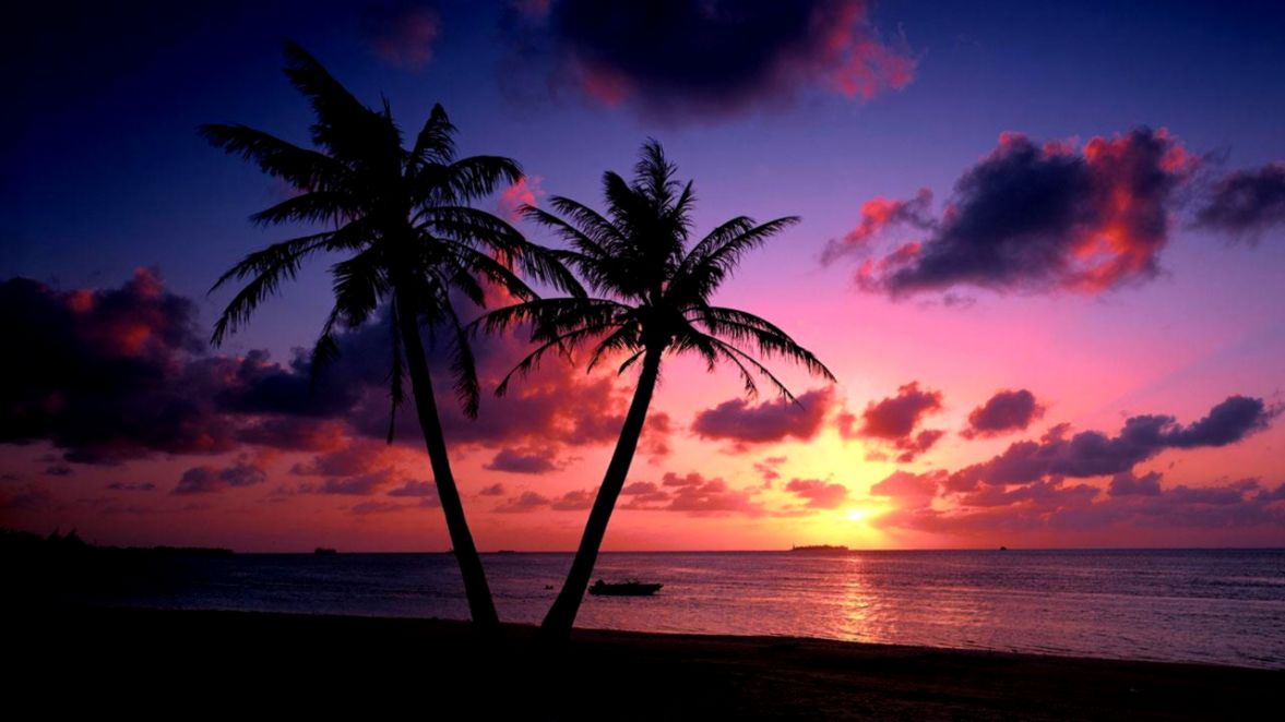 Beach Sunset Live Wallpaper Android Apps on Google Play Beach Sunset Live Wallpaper Android Apps on Google Play