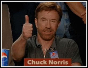 Chuck Norris aprova esse Blog
