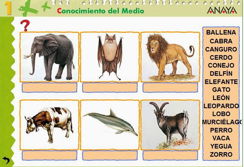 FUERTEMIMOPLATA (el blog de 1º de Primaria) LO QUE COMEN