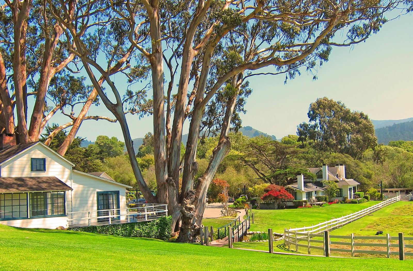 Adventures of a Home Town Tourist Carmel Mission Ranch