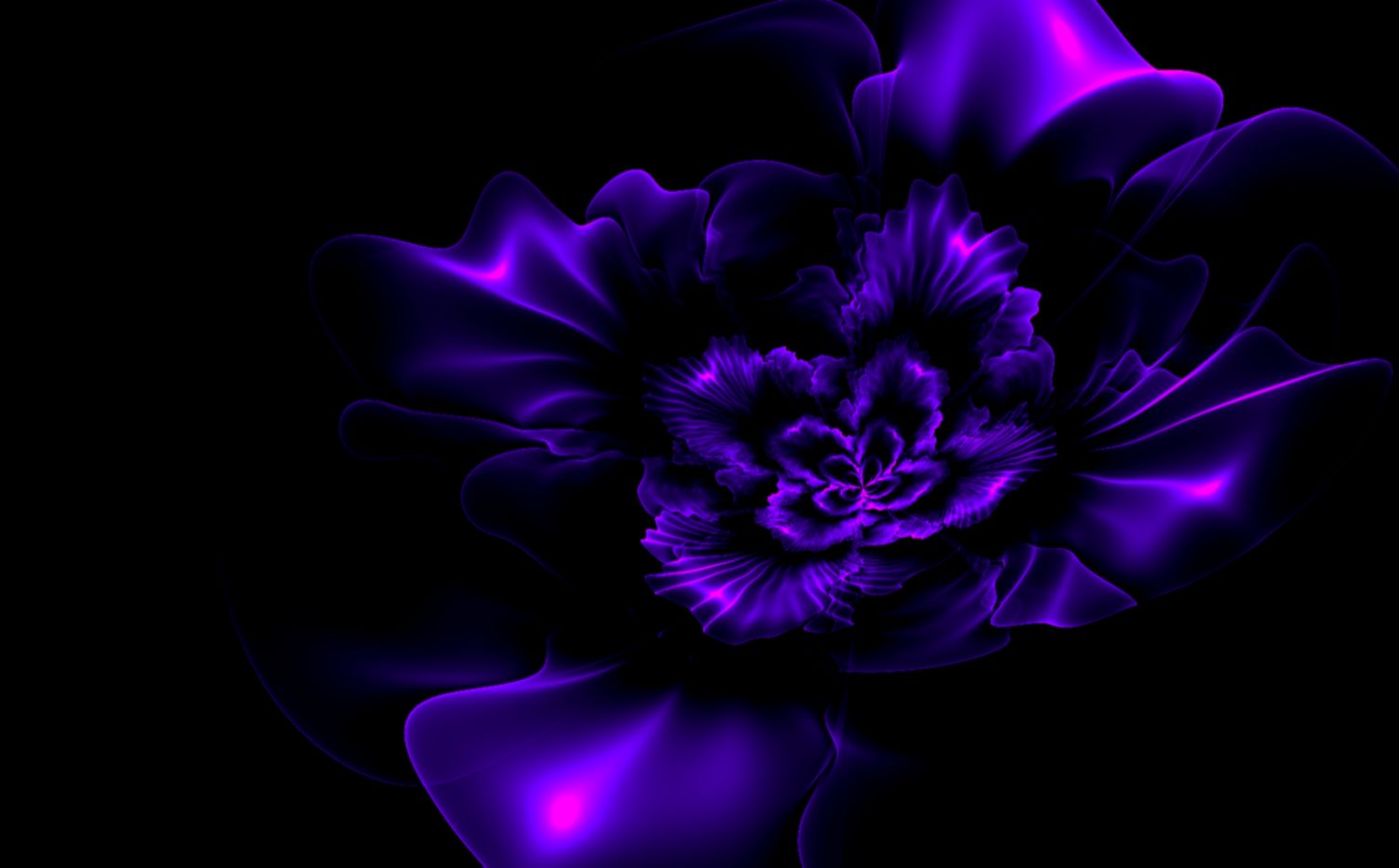 Dark Purple and Black Flower Dark Purple and Black Flower