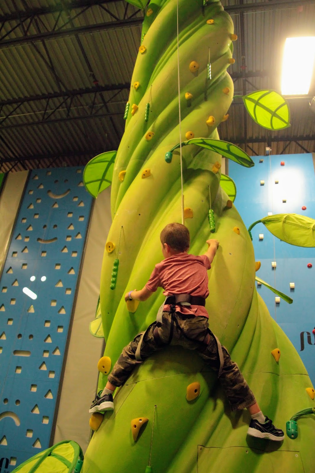 Family Adventures in the Canadian Rockies Calgary's New Climb Park