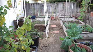 The Southern California December Garden