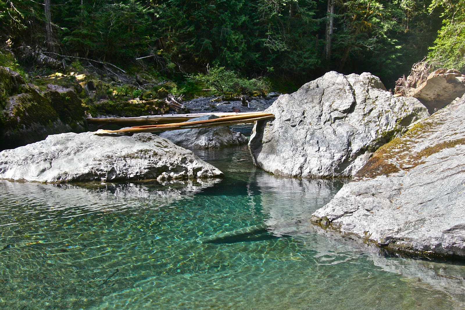 Olympic Peninsula Hikes, Guides and Updates Staircase Step up into