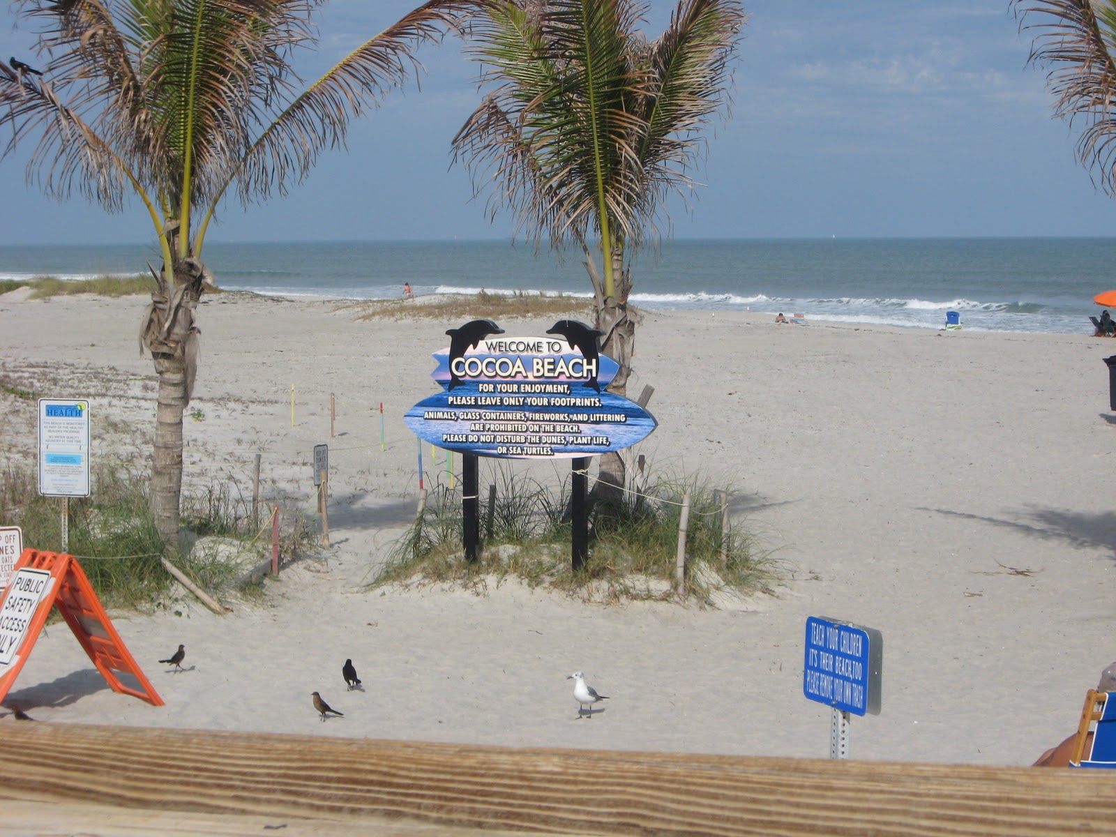 Babs Just A Babblin' CoCoa Beach == Coconuts