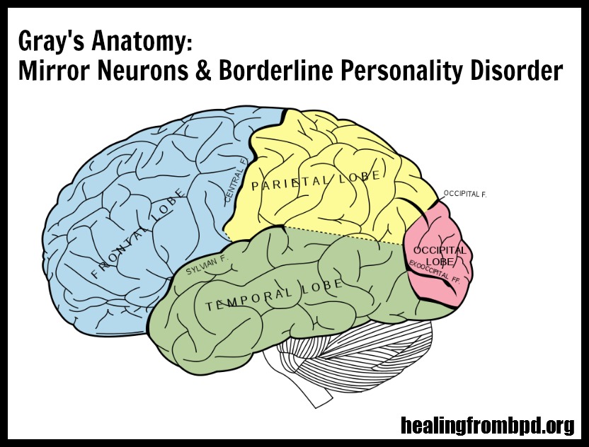 Its All In Your Head: Borderline Personality Disorder and the