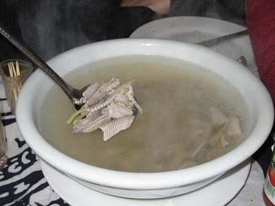 Snake Soup