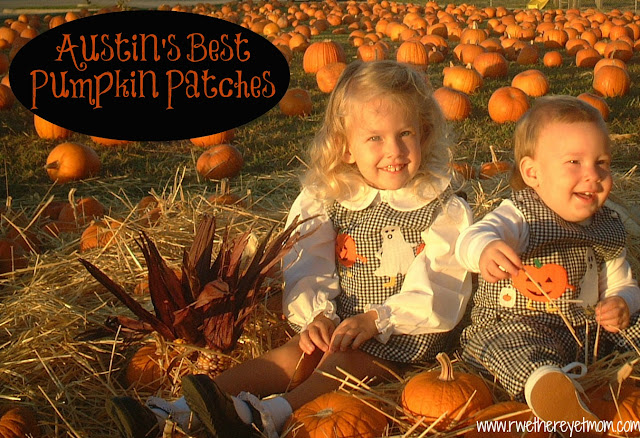 Pumpkin Patch Lake Jackson Tx Hours Of Service