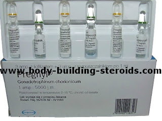 Bodybuilding steroide kaufen