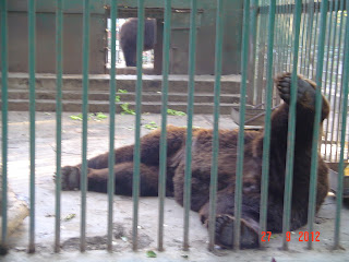 Зоопарк в Одессе