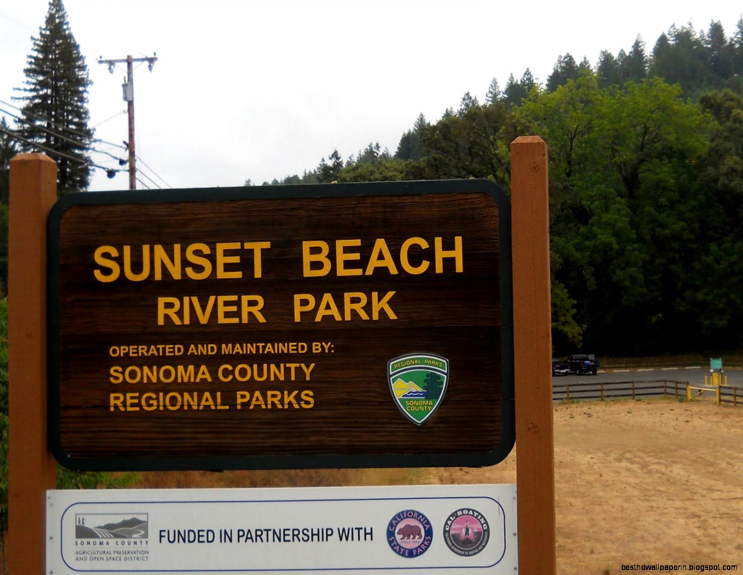 redbirddog a hungarian pointer vizsla blog Hidden Treasure redbirddog a hungarian pointer vizsla blog Hidden Treasure