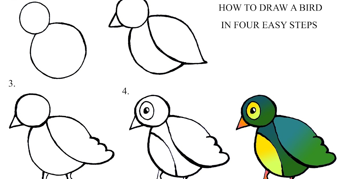 DARYL HOBSON ARTWORK: How To Draw A Bird step by step