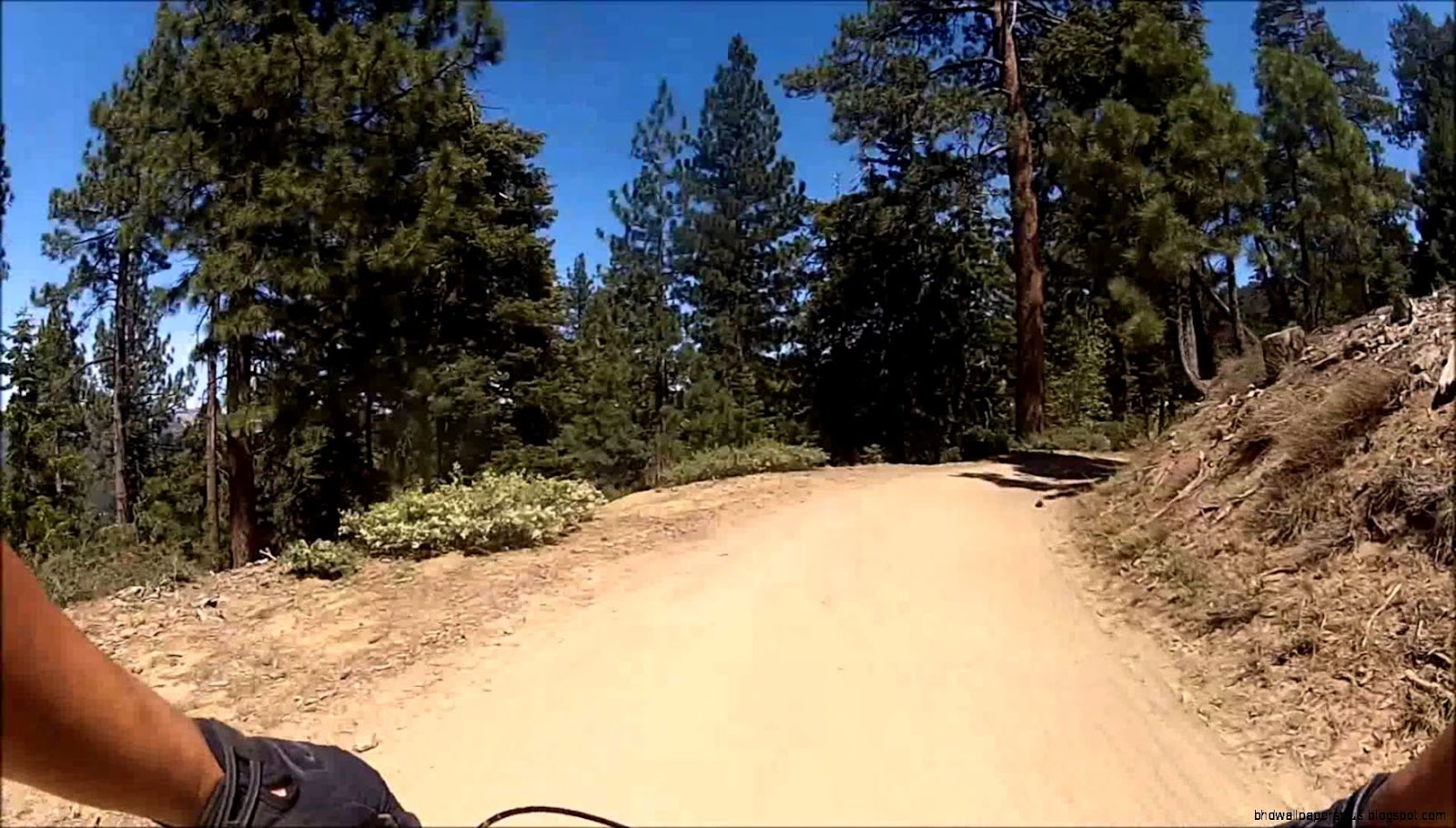 Big Bear Snow Summit Mountain Biking Big Bear Snow Summit Mountain Biking